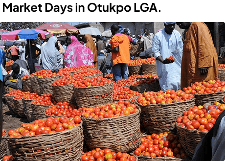 Otukpo LGA Market